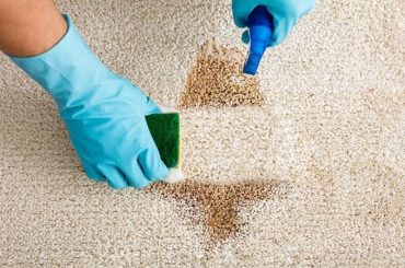 How to Get Vomit Out of Carpet: Full Removal & Odor Guide